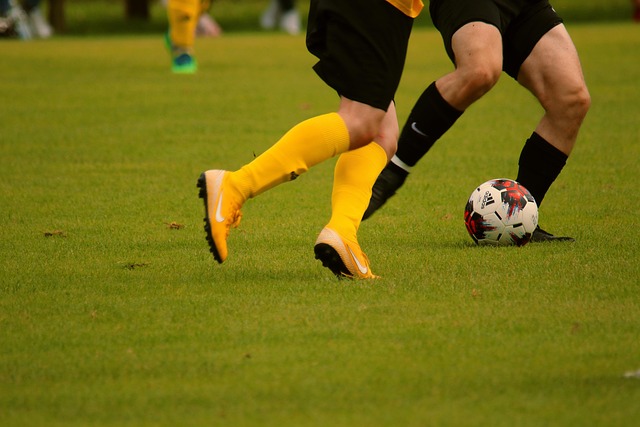 在職業生涯 在職業生涯